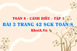 Bài 3 trang 42 SGK Toán 8 tập 1 Cánh Diều